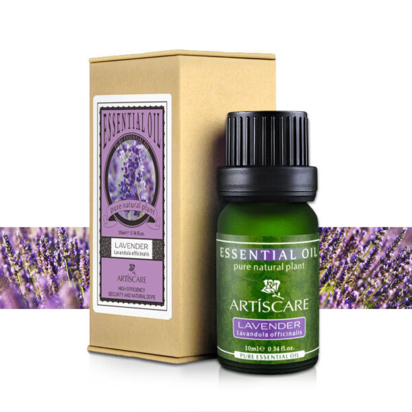 ARTISCARE Lavender Essential Oil - Image 5